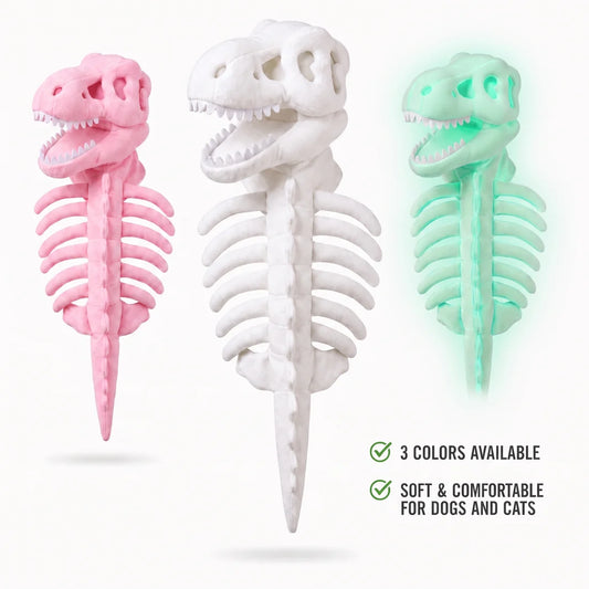Glow-in-the-Dark Dinosaur Pet Skeleton Costume